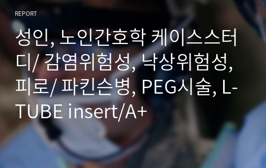 성인, 노인간호학 케이스스터디/ 감염위험성, 낙상위험성, 피로/ 파킨슨병, PEG시술, L-TUBE insert/A+