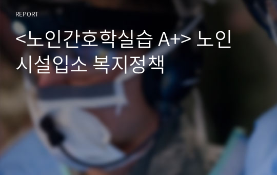 &lt;노인간호학실습 A+&gt; 노인 시설입소 복지정책