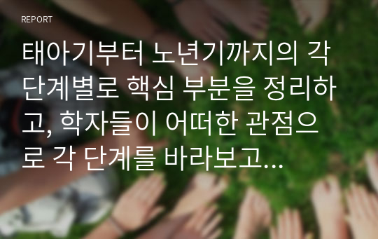 태아기부터 노년기까지의 각 단계별로 핵심 부분을 정리하고, 학자들이 어떠한 관점으로 각 단계를 바라보고 있는 지 정리하고 보고서를 작성하여 제출하시오.