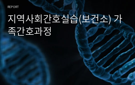 지역사회간호실습(보건소) 가족간호과정