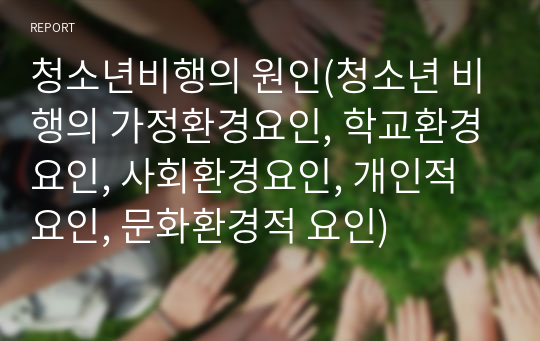 청소년비행의 원인(청소년 비행의 가정환경요인, 학교환경요인, 사회환경요인, 개인적 요인, 문화환경적 요인)