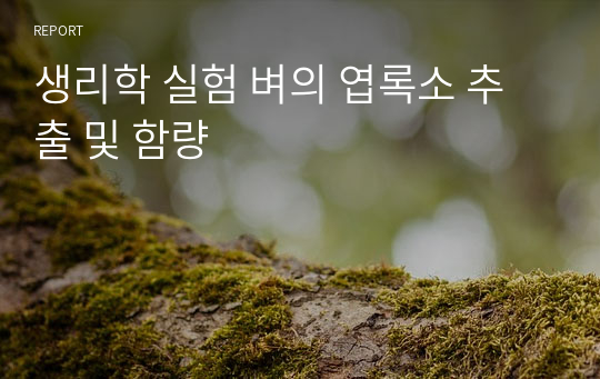 생리학 실험 벼의 엽록소 추출 및 함량