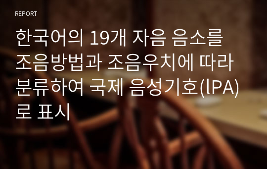 한국어의 19개 자음 음소를 조음방법과 조음우치에 따라 분류하여 국제 음성기호(lPA)로 표시