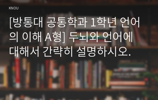 [방통대 공통학과 1학년 언어의 이해 A형] 두뇌와 언어에 대해서 간략히 설명하시오.