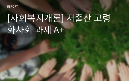 [사회복지개론] 저출산 고령화사회 과제 A+