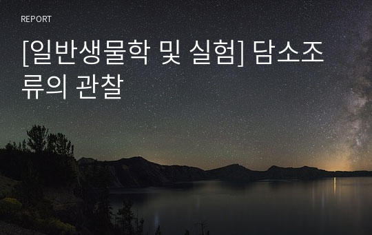 [일반생물학 및 실험] 담소조류의 관찰