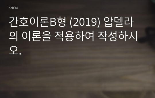 간호이론B형 (2019) 압델라의 이론을 적용하여 작성하시오.