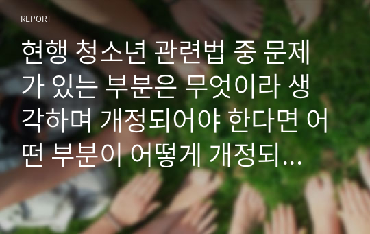 현행 청소년 관련법 중 문제가 있는 부분은 무엇이라 생각하며 개정되어야 한다면 어떤 부분이 어떻게 개정되어야 하는지 기술하시오.