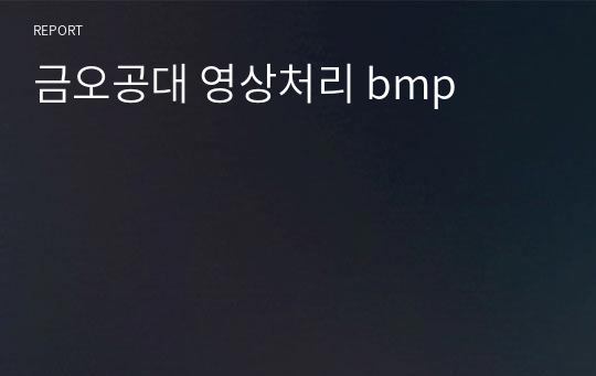 금오공대 영상처리 bmp