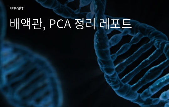 배액관, PCA 정리 레포트