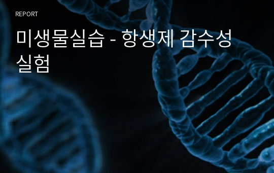 미생물실습 - 항생제 감수성 실험