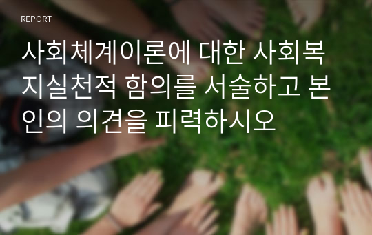 사회체계이론에 대한 사회복지실천적 함의를 서술하고 본인의 의견을 피력하시오