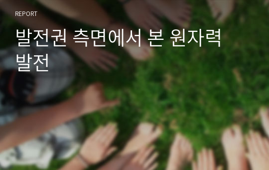 발전권 측면에서 본 원자력 발전