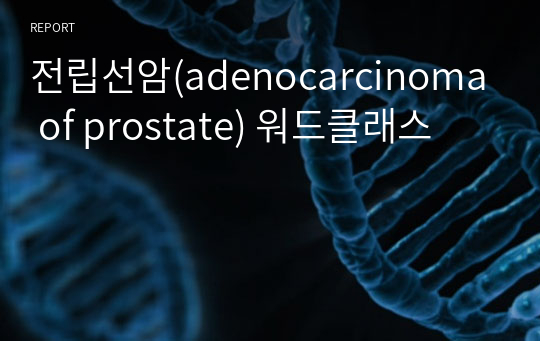 전립선암(adenocarcinoma of prostate) 워드클래스