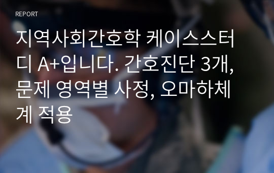 지역사회간호학 케이스스터디 A+입니다. 간호진단 3개, 문제 영역별 사정, 오마하체계 적용