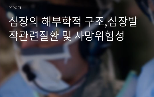 심장의 해부학적 구조,심장발작관련질환 및 사망위험성