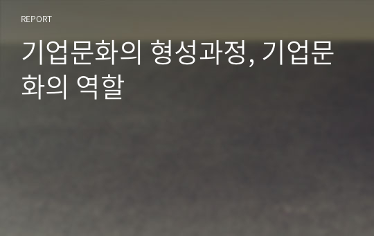 기업문화의 형성과정, 기업문화의 역할