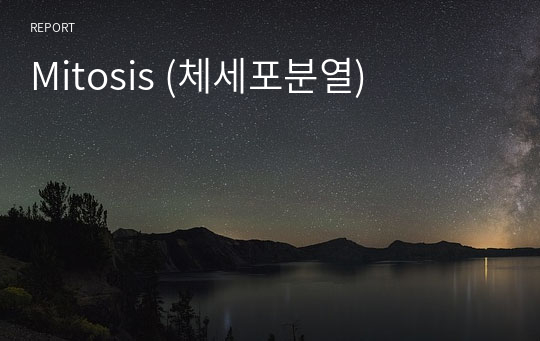 [연세대 A+ 생물레포트] Mitosis (체세포분열)