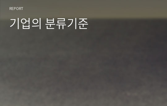 기업의 분류기준