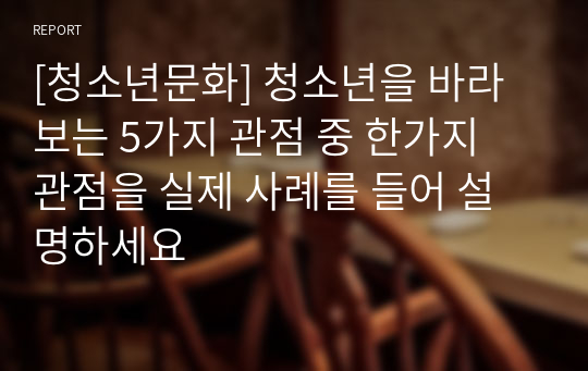 [청소년문화] 청소년을 바라보는 5가지 관점 중 한가지 관점을 실제 사례를 들어 설명하세요