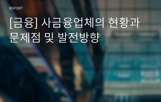 [금융] 사금융업체의 현황과 문제점 및 발전방향