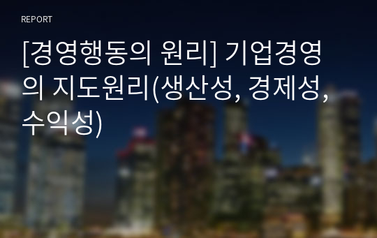 [경영행동의 원리] 기업경영의 지도원리(생산성, 경제성, 수익성)