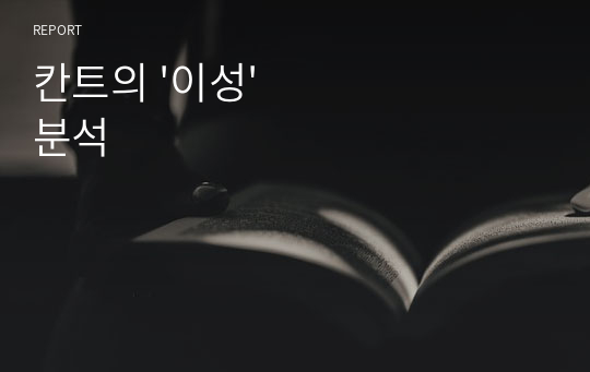 칸트의 &#039;이성&#039; 분석