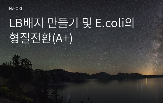 LB배지 만들기 및 E.coli의 형질전환(A+)