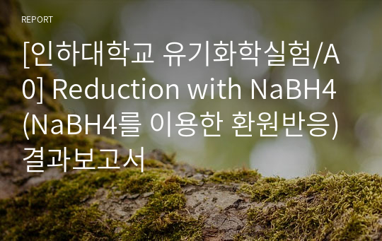 [인하대학교 유기화학실험/A0] Reduction with NaBH4(NaBH4를 이용한 환원반응) 결과보고서