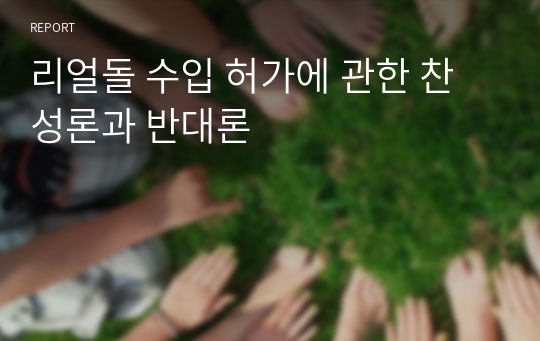 리얼돌 수입 허가에 관한 찬성론과 반대론