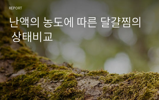 난액의 농도에 따른 달걀찜의 상태비교