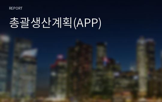 총괄생산계획(APP)