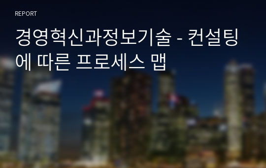 경영혁신과정보기술 - 컨설팅에 따른 프로세스 맵