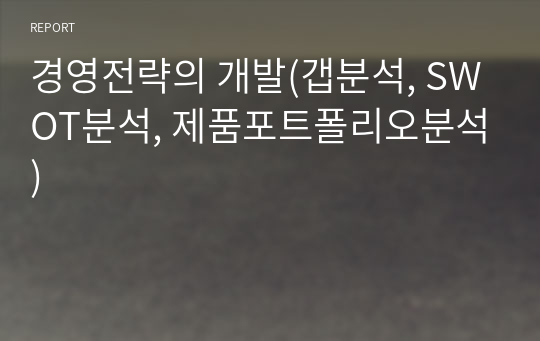 경영전략의 개발(갭분석, SWOT분석, 제품포트폴리오분석)