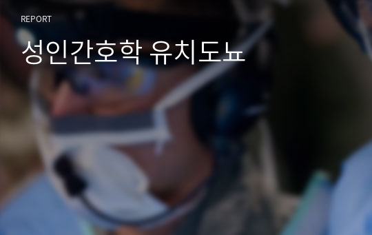 성인간호학 유치도뇨