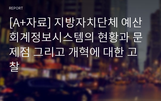 [A+자료] 지방자치단체 예산회계정보시스템의 현황과 문제점 그리고 개혁에 대한 고찰