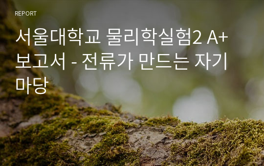 서울대학교 물리학실험2 A+ 보고서 - 전류가 만드는 자기마당