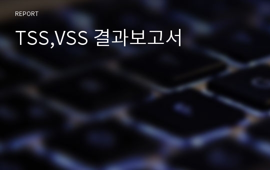 TSS,VSS 결과보고서