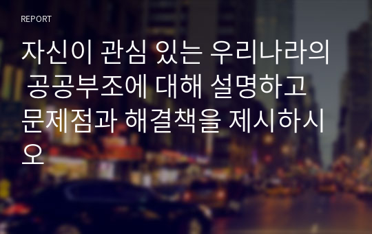 자신이 관심 있는 우리나라의 공공부조에 대해 설명하고 문제점과 해결책을 제시하시오