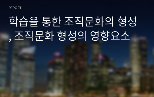 학습을 통한 조직문화의 형성, 조직문화 형성의 영향요소