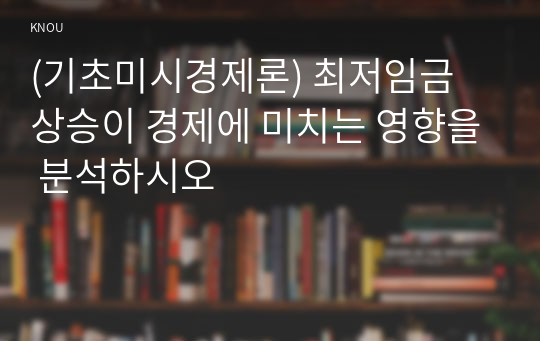 (기초미시경제론) 최저임금 상승이 경제에 미치는 영향을 분석하시오