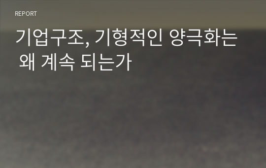 기업구조, 기형적인 양극화는 왜 계속 되는가