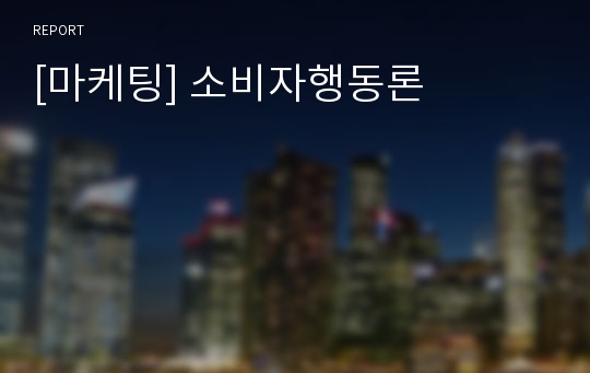 [마케팅] 소비자행동론