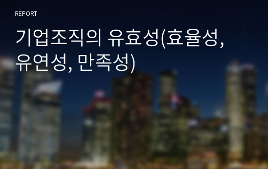 기업조직의 유효성(효율성, 유연성, 만족성)