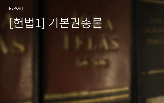 [헌법1] 기본권총론