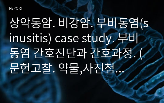 상악동암. 비강암. 부비동염(sinusitis) case study. 부비동염 간호진단과 간호과정. (문헌고찰. 약물,사진첨부. lab수치포함.)