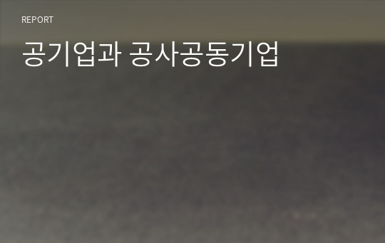 공기업과 공사공동기업