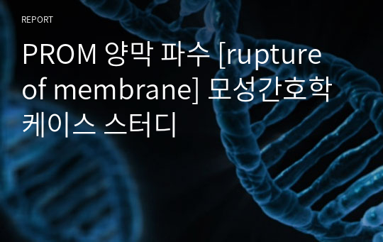 [A+]PROM 양막 파수 [rupture of membrane] 모성간호학 케이스 스터디