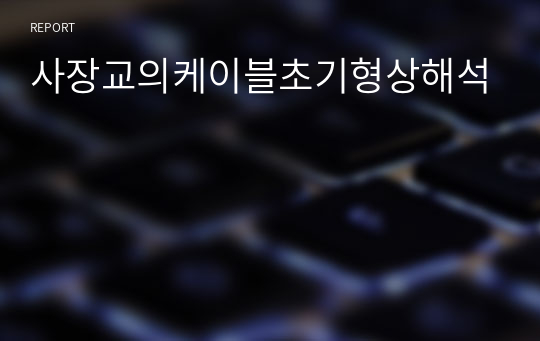 사장교의케이블초기형상해석