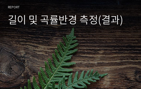 길이 및 곡률반경 측정(결과)